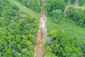 McAlpine Creek3
