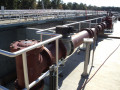 Western Wake Water Reclamation facility Image 2 (2)
